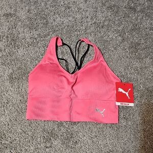 Puma Womens Low Support Pink Sports Bra Size M